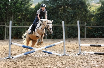 Reiterin springt mit einem Palomino-Pony über ein Kreuz auf dem Außenplatz