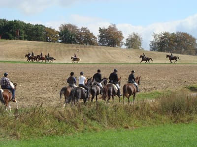 Jagdfeld reitet bei einer Schleppjagd über abgeerntete Felder