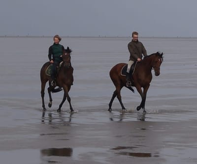 Zwei Reiter auf Braunen im flachen Wasser am Meer