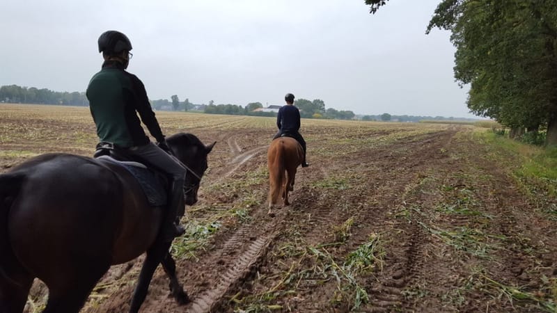 Zwei Reiter beim Ausritt auf einem Feldweg am Acker