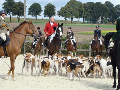 Schleppjagd: Meute Jagdhunde mit Reitern im roten Rock vor dem Start