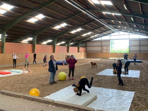 Falltraining in der Reithalle: Teilnehmende üben auf Matten mit Gymnastikbällen