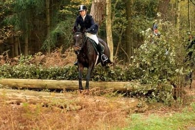Reiterin springt mit einem dunklen Pferd über einen Baumstamm im Wald