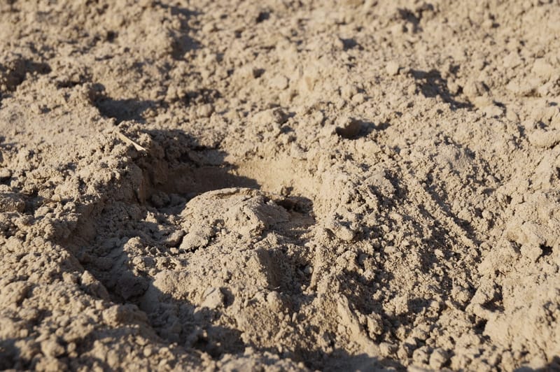 Nahaufnahme von aufgewühltem Sandboden