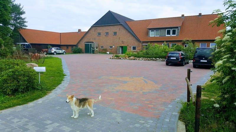 Hofeinfahrt des Braaklander Hofs mit Backsteingebäuden und Hofhund