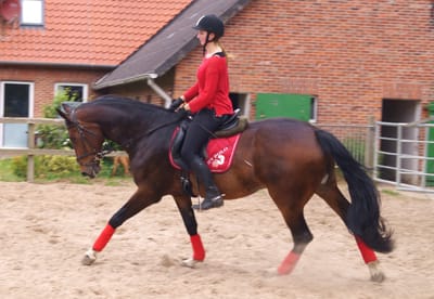 Reiterin in roter Jacke auf einem Braunen auf dem Reitplatz vor dem Backsteinstall