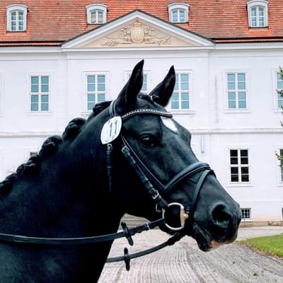 Boomerang mit eingeflochtener Mähne und Startnummer vor einem weißen Herrenhaus