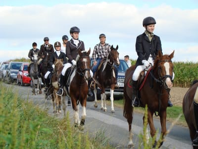 Reitergruppe in Jagdkleidung auf einer Landstraße