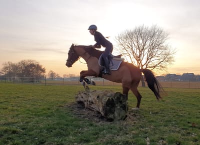 Reiterin springt bei Sonnenuntergang mit ihrem Pferd über einen Baumstamm auf der Wiese